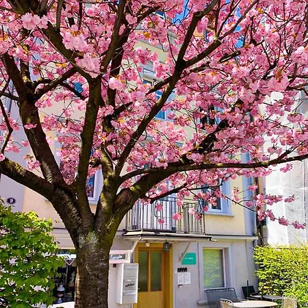 Guest house Citylodge St Gallen - 2 Min To Marktplatz *