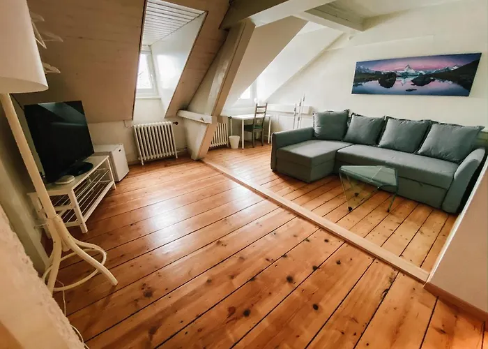 Citylodge St Gallen - 2 Min To Marktplatz Guest house St. Gallen