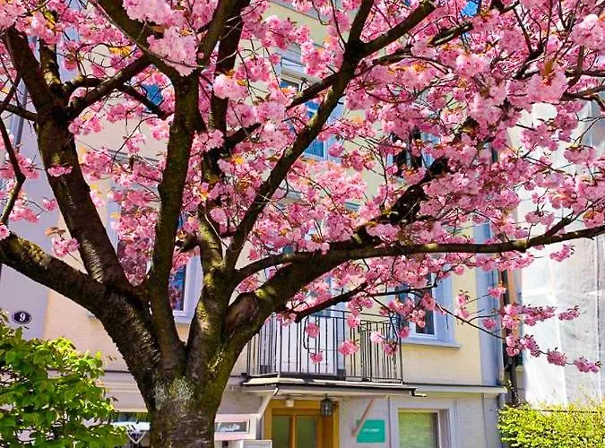 Pensjonat Citylodge St Gallen - 2 Min To Marktplatz *